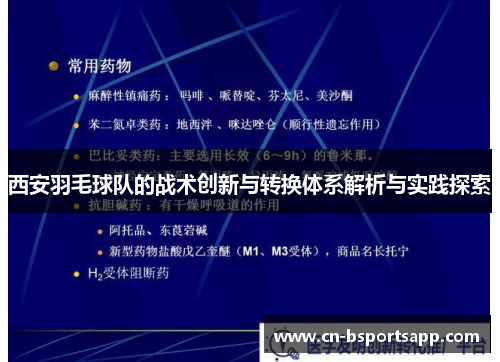 西安羽毛球队的战术创新与转换体系解析与实践探索
